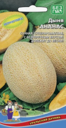 Дыня Ананас 10шт УД