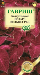 Колеус Визард Вельвет ред 4шт Элитная клумба Гавриш