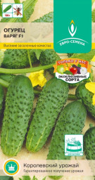 Огурец Варяг F1 0,25гр Евро Семена