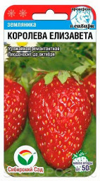 Земляника Королева Елизавета Сибирский сад